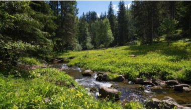 Ясночувствование